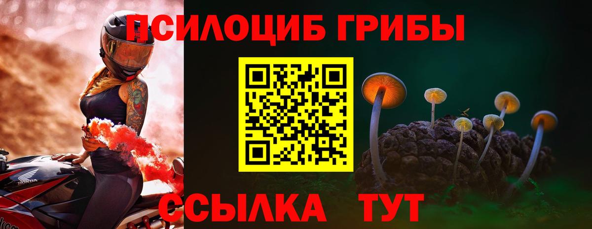 Галлюциногенные грибы прущие грибы  Галлюциногенные грибы Psilocybine cubensis  Анапа  Вход с VPN 